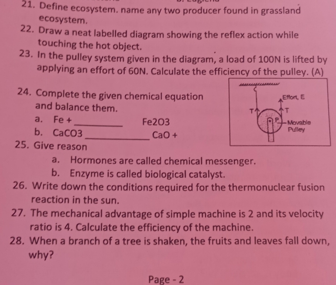 Define ecosystem. name any two producer found in grassland 
ecosystem. 
22. Draw a neat labelled diagram showing the reflex action while 
touching the hot object. 
23. In the pulley system given in the diagram, a load of 100N is lifted by 
applying an effort of 60N. Calculate the efficiency of the pulley. (A) 
24. Complete the given chemical equation 
and balance them. 
a. Fe +_  Fe2O3
b. CaCO3 _ Ca 0+ U
25. Give reason 
a. Hormones are called chemical messenger. 
b. Enzyme is called biological catalyst. 
26. Write down the conditions required for the thermonuclear fusion 
reaction in the sun. 
27. The mechanical advantage of simple machine is 2 and its velocity 
ratio is 4. Calculate the efficiency of the machine. 
28. When a branch of a tree is shaken, the fruits and leaves fall down, 
why? 
Page - 2