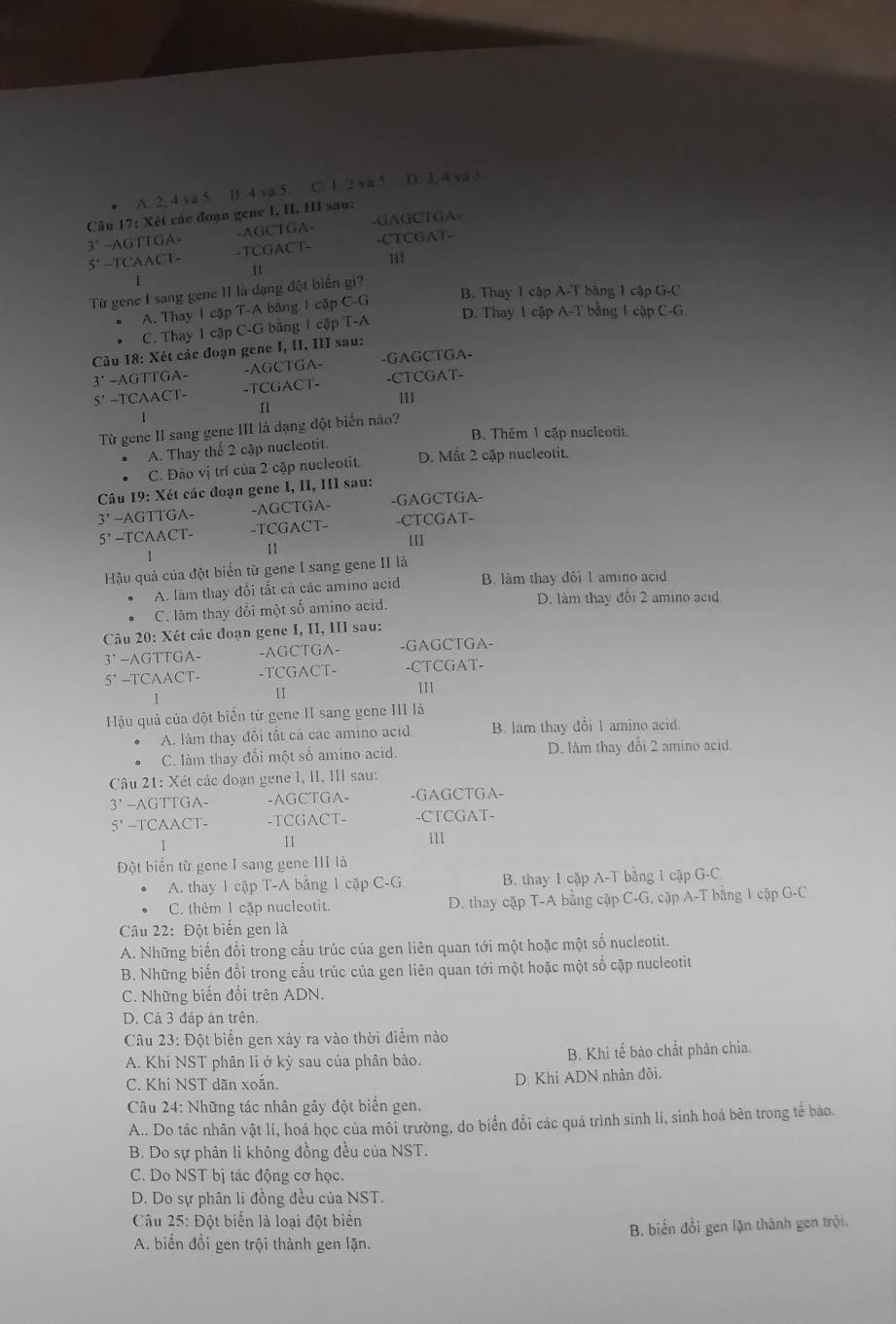 A. 2, 4 va 5 B. 4 va 5 C. 1. 2 va 5 D. 3, 4 va 5
Câu 17: Xét các đoạn gene I, II, III sau:
3° -AGTTGA- -AGCTGA- -GAGCTGA-
5° -TCAACT- -TCGACT- -CTCGAT-
H1
1
B. Thay 1 cập A-T bằng 1 cập G-C
Từ gene I sang gene II là đạng đột biển gi?
A. Thay 1 cặp T-A bằng 1 cặp C-G
C. Thay 1 cặp C-G bằng 1 cập T-A D. Thay 1 cập A-T bằng 1 cập C-G
Câu 18: Xét các đoạn gene I, II. III sau:
3^(·) * −AGTTGA- -AGCTGA- -GAGCTGA-
5' --TCAACT- -TCGACT- -CTCGAT-
[1
111
1
Từ gene II sang gene III là dạng đột biển nào?
B. Thêm 1 cặp nucleotit.
A. Thay thế 2 cập nucleotit.
C. Đảo vị trí của 2 cập nucleotit. D. Mắt 2 cặp nucleotit.
Câu 19: Xét các đoạn gene I, II, III sau:
3' -AGTTGA- -AGCTGA- -GAGCTGA-
5’ --TCAACT- -TCGACT- -CTCGAT-
11I
1
11
Hậu quả của đột biển từ gene I sang gene II là B. làm thay đôi 1 amino acid
A. làm thay đổi tất cả các amino acid
C. làm thay đổi một số amino acid. D. làm thay đổi 2 amino acid
Câu 20: Xét các đoạn gene I, II, III sau:
3° -AGTTGA- -AGCTGA- -GAGCTGA-
5' -TCAACT- -TCGACT- -CTCGAT-
11
111
Hậu quả của đột biến từ gene II sang gene III là
A. làm thay đôi tất cả các amino acid B. lam thay đổi 1 amino acid.
C. làm thay đổi một số amino acid. D. làm thay đổi 2 amino acid.
Câu 21: Xét các đoạn gene I, II, III sau:
3' —AGTTGA- -AGCTGA- -GAGCTGA-
5' -TCAACT- -TCGACT- -CTCGAT-
/
11 111
Đột biến từ gene I sang gene III là
A. thay 1 cặp T-A bằng 1 cặp C-G B. thay 1 cập A-T bằng 1 cập G-C
C. thêm 1 cặp nucleotit. D. thay cặp T-A bằng cập C-G, cập A-T bằng 1 cập G-C
Câu 22: Đột biến gen là
A. Những biến đổi trong cấu trúc của gen liên quan tới một hoặc một số nucleotit.
B. Những biến đổi trong cấu trúc của gen liên quan tới một hoặc một số cặp nucleotit
C. Những biển đổi trên ADN.
D. Cả 3 đáp án trên.
Câu 23: Đột biển gen xảy ra vào thời điểm nào
A. Khi NST phân lì ở kỳ sau của phân bào. B. Khi tế bào chất phân chia.
C. Khi NST dãn xoắn. D. Khi ADN nhân đôi.
Câu 24: Những tác nhân gây đột biến gen.
A.. Do tác nhân vật lí, hoá học của môi trường, do biển đổi các quá trình sinh lí, sinh hoá bên trong tế bào.
B. Do sự phân li không đồng đều của NST.
C. Do NST bị tác động cơ học.
D. Do sự phân li đồng đều của NST.
Câu 25: Đột biển là loại đột biển
A. biển đổi gen trội thành gen lặn. B. biển đổi gen lận thành gen trội.