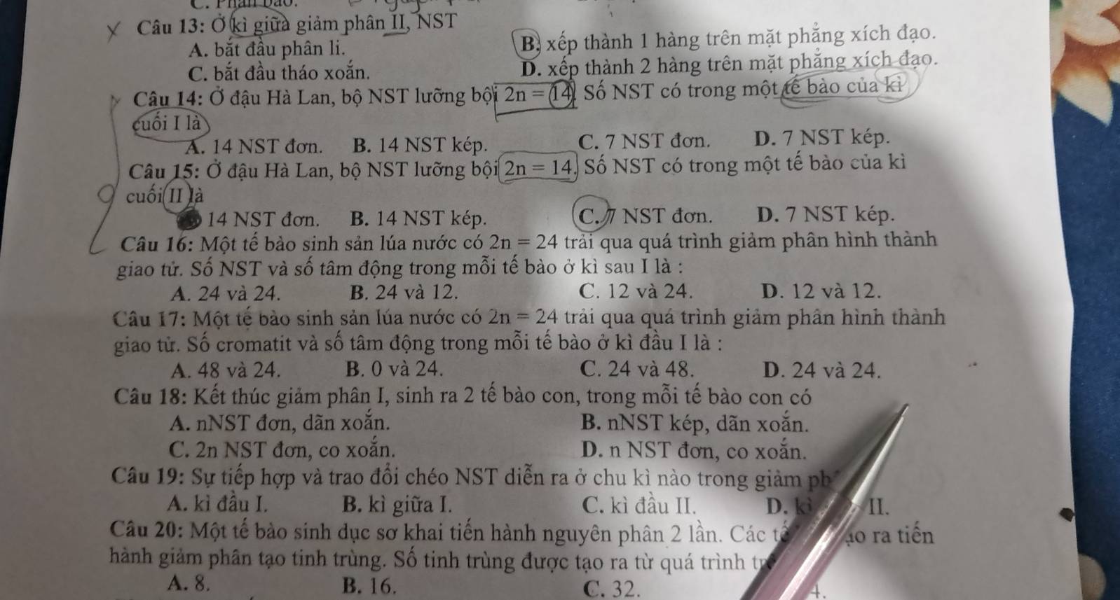 Ở kì giữa giảm phân II, NST
A. bắt đầu phân li. B xếp thành 1 hàng trên mặt phẳng xích đạo.
C. bắt đầu tháo xoắn. D. xếp thành 2 hàng trên mặt phẳng xích đạo.
Câu 14: Ở đậu Hà Lan, bộ NST lưỡng bội 2n= 14 Số NST có trong một tế bào của kì
cuối I là
A. 14 NST đơn. B. 14 NST kép. C. 7 NST đơn. D. 7 NST kép.
Câu 15: Ở đậu Hà Lan, bộ NST lưỡng bội 2n=14 Số NST có trong một tế bào của kì
cuối II là
14 NST đơn. B. 14 NST kép. C./ NST đơn. D. 7 NST kép.
Câu 16: Một tế bào sinh sản lúa nước có 2n=24 trải qua quá trình giảm phân hình thành
giao tử. Số NST và số tâm động trong mỗi tế bào ở kì sau I là :
A. 24 và 24. B. 24 và 12. C. 12 và 24. D. 12 và 12.
Câu 17: Một tế bào sinh sản lúa nước có 2n=24 trải qua quá trình giảm phân hình thành
giao từ. Số cromatit và số tâm động trong mỗi tế bào ở kì đầu I là :
A. 48 và 24. B. 0 và 24. C. 24 và 48. D. 24 và 24.
Câu 18: Kết thúc giảm phân I, sinh ra 2 tế bào con, trong mỗi tế bào con có
A. nNST đơn, dãn xoắn. B. nNST kép, dãn xoắn.
C. 2n NST đơn, co xoắn. D. n NST đơn, co xoắn.
Câu 19: Sự tiếp hợp và trao đổi chéo NST diễn ra ở chu kì nào trong giảm ph
A. kì đầu I. B. kì giữa I. C. kì đầu II. D. kì II.
Câu 20: Một tế bào sinh dục sơ khai tiến hành nguyên phân 2 lần. Các tế áo ra tiến
hành giảm phân tạo tinh trùng. Số tinh trùng được tạo ra từ quá trình trự
A. 8. B. 16. C. 32. 4