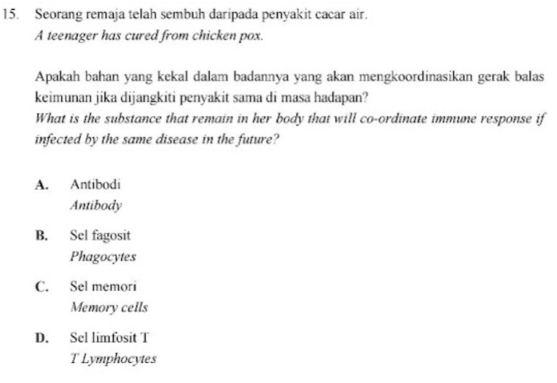 Seorang remaja telah sembuh daripada penyakit cacar air.
A teenager has cured from chicken pox.
Apakah bahan yang kekal dalam badannya yang akan mengkoordinasikan gerak balas
keimunan jika dijangkiti penyakit sama di masa hadapan?
What is the substance that remain in her body that will co-ordinate immune response if
infected by the same disease in the future?
A. Antibodi
Antibody
B. Sel fagosit
Phagocytes
C. Sel memori
Memory cells
D. Sel limfosit T
T Lymphocytes