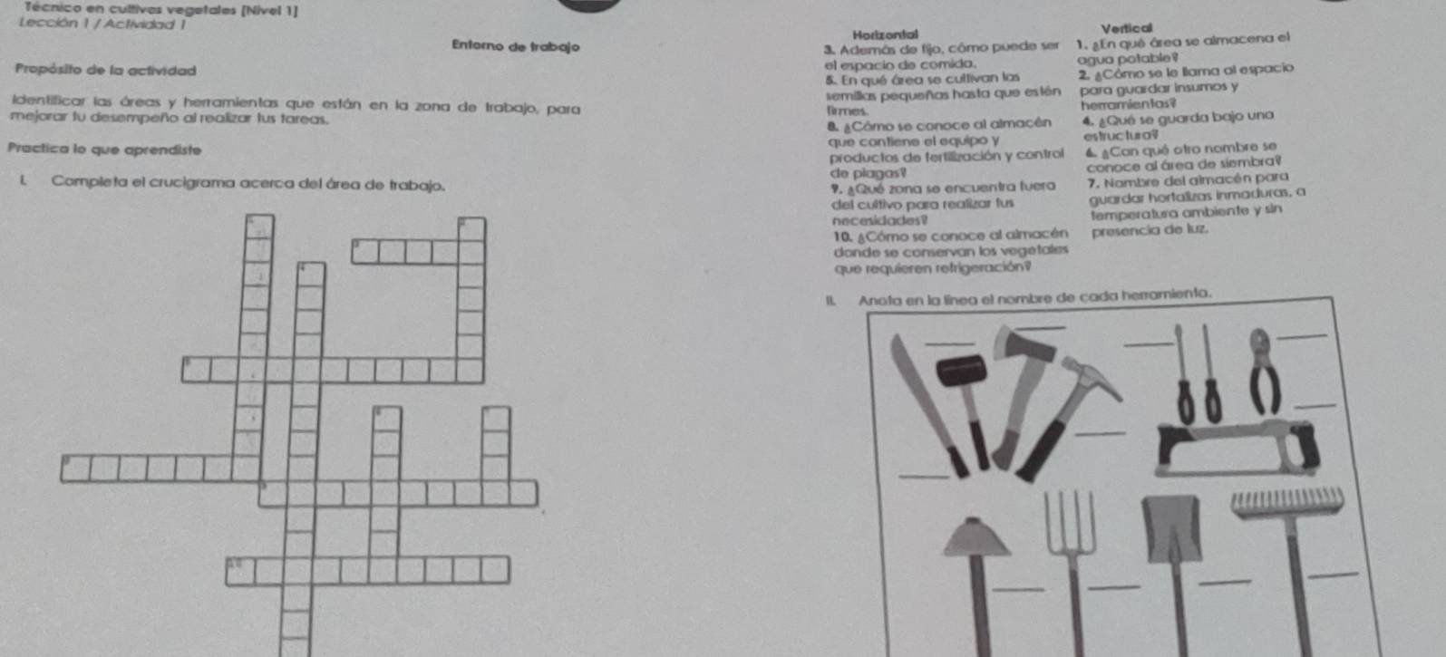 Técnico en cultivos vegetales [Nível 1]
Lección 1 /Actividad 1
Horizontal Vertical
Entorno de trabajo 3. Además de fijo, cômo puede ser 1. ¿En qué área se almacena el
Propósito de la actividad el espacio de comido.
agua potable?
5. En qué área se cultivan las 2 ¿Cómo se le llama al espacio
semillas pequeñas hasta que estén para guardar insumos y
Identificar las áreas y herramientas que están en la zona de trabajo, para
firmes
herramientas?
mejorar tv desempeño al realizar tus tareas.
Cômo se conoce al almacên
Practica lo que aprendiste que contiene el equipo y 4. ¿Qué se guarda bajo una
estructura?
productos de fertilización y control # ¿Con qué otro nombre se
de plagas? conoce al área de siembra?
I. Completa el crucigrama acerca del área de trabajo. 7. Nambre del aimacén para
#. ¿Qué zona se encuentra fuera
del cultivo para realizar fus guardar hortalizas inmaduras, a
necesidades? temperatura ambiente y sin
10. &Cómo se conoce al almacén presencia de luz.
donde se conservan los vegetales
que requieren refrigeración?
I