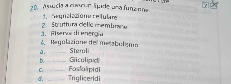 cere. V
20. Associa a ciascun lipide una funzione.
1. Segnalazione cellulare
2. Struttura delle membrane
3. Riserva di energia
4. Regolazione del metabolismo
a. _Steroli
b. _Glicolipidi
C. _Fosfolipidi
d . _Trigliceridi