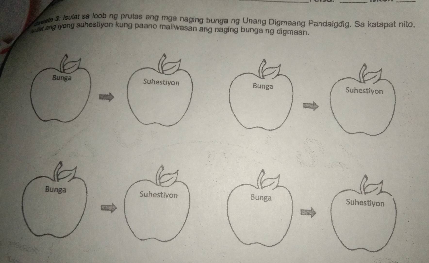 sawaln 3: Isulat sa loob ng prutas ang mga naging bunga ng Unang Digmaang Pandaigdig. Sa katapat nito, 
sulat ang iyong suhestiyon kung paano maiiwasan ang naging bunga ng digmaan. 
Bunga Suhestiyon Bunga Suhestiyon 
Bunga Suhestivon Suhestiyon 
Bunga