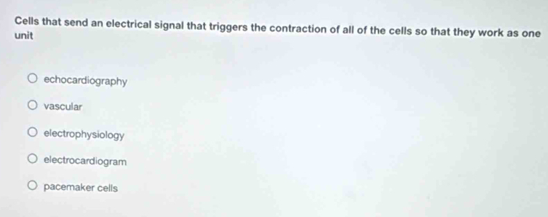 Cells that send an electrical signal that triggers the contraction of all of the cells so that they work as one
unit
echocardiography
vascular
electrophysiology
electrocardiogram
pacemaker cells