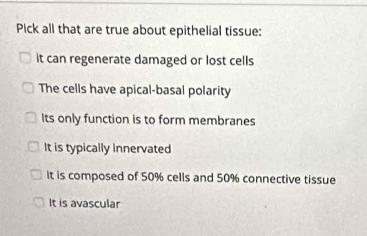 Pick all that are true about epithelial tissue:
it can regenerate damaged or lost cells
The cells have apical-basal polarity
Its only function is to form membranes
It is typically innervated
It is composed of 50% cells and 50% connective tissue
It is avascular