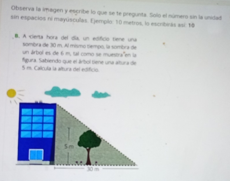 Observa la imagen y escribe lo que se te pregunta. Solo el número sin la unidad 
sin espacios ni mayúsculas. Ejemplo: 10 metros, lo escribirás así: 10 
B. A cierta hora del día, un edificio tiene una 
sombra de 30 m. Al mismo tiempó, la sombra de 
un árbol es de 6 m, tal como se muestra en la 
figura. Sabiendo que el árbol tiene una altura de
5 m. Calcula la altura del edificio.
5m
30 m