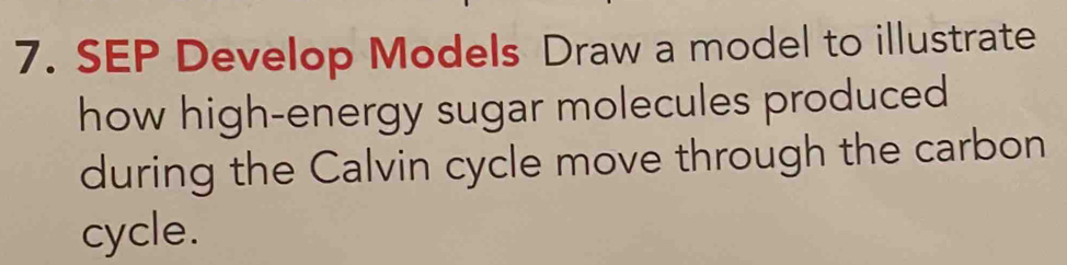 SEP Develop Models Draw a model to illustrate 
how high-energy sugar molecules produced 
during the Calvin cycle move through the carbon 
cycle.