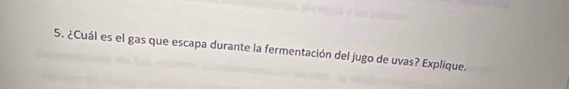 ¿Cuál es el gas que escapa durante la fermentación del jugo de uvas? Explique.