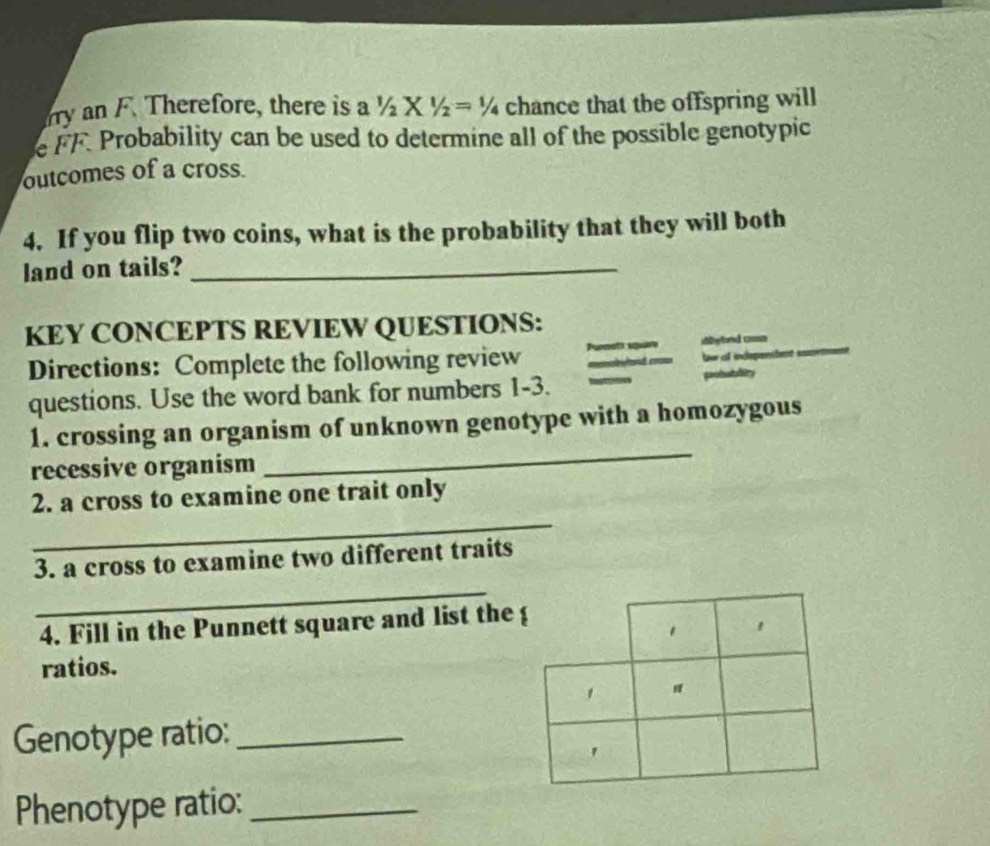 rry an F. Therefore, there is a 1/2* 1/2=1/4 chance that the offspring will 
e FF. Probability can be used to determine all of the possible genotypic 
outcomes of a cross. 
4. If you flip two coins, what is the probability that they will both 
land on tails?_ 
KEY CONCEPTS REVIEW QUESTIONS: 
Directions: Complete the following review dbybnd cooso 
be ot indep 
questions. Use the word bank for numbers 1-3. paubaility 
1. crossing an organism of unknown genotype with a homozygous 
recessive organism 
_ 
_ 
2. a cross to examine one trait only 
3. a cross to examine two different traits 
_ 
4. Fill in the Punnett square and list the  
ratios. 
' 
Genotype ratio:_ 
' 
Phenotype ratio:_