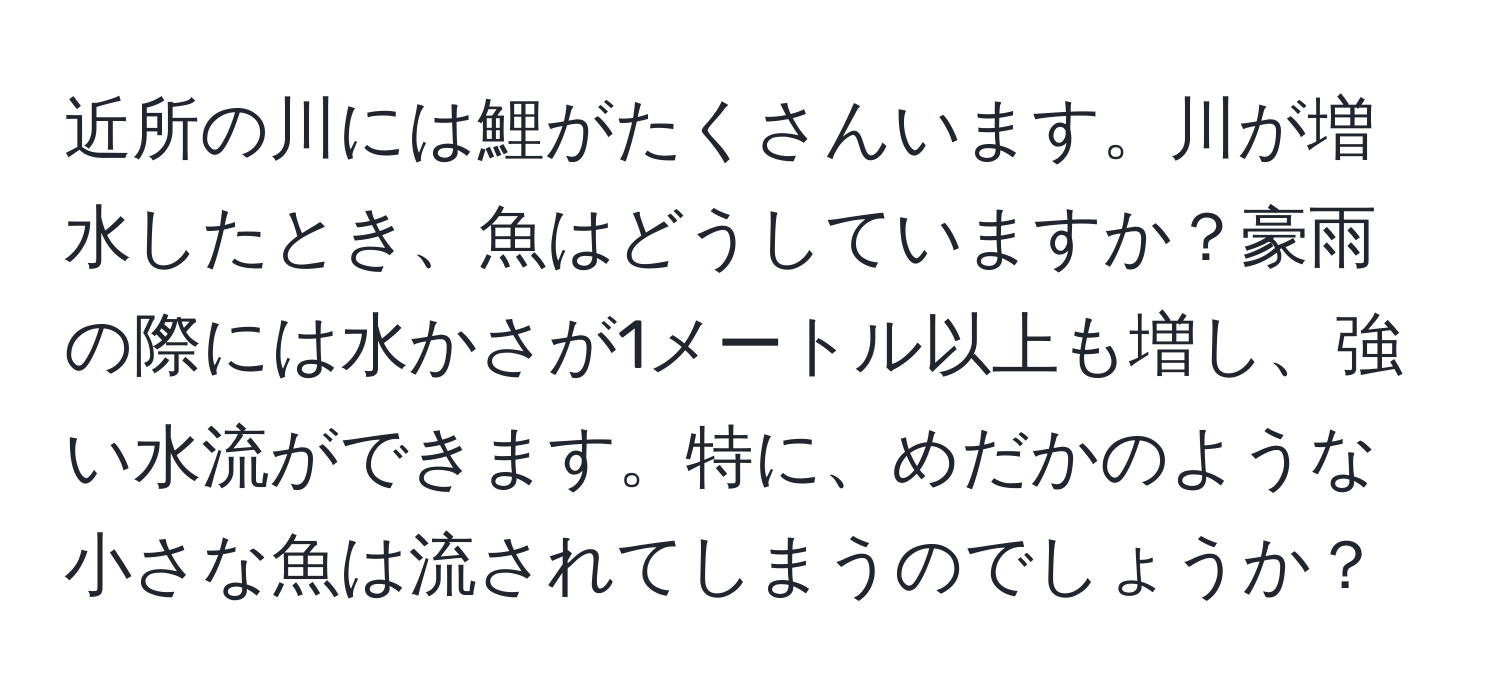 近所の川には鯉がたくさんいます。川が増水したとき、魚はどうしていますか？豪雨の際には水かさが1メートル以上も増し、強い水流ができます。特に、めだかのような小さな魚は流されてしまうのでしょうか？