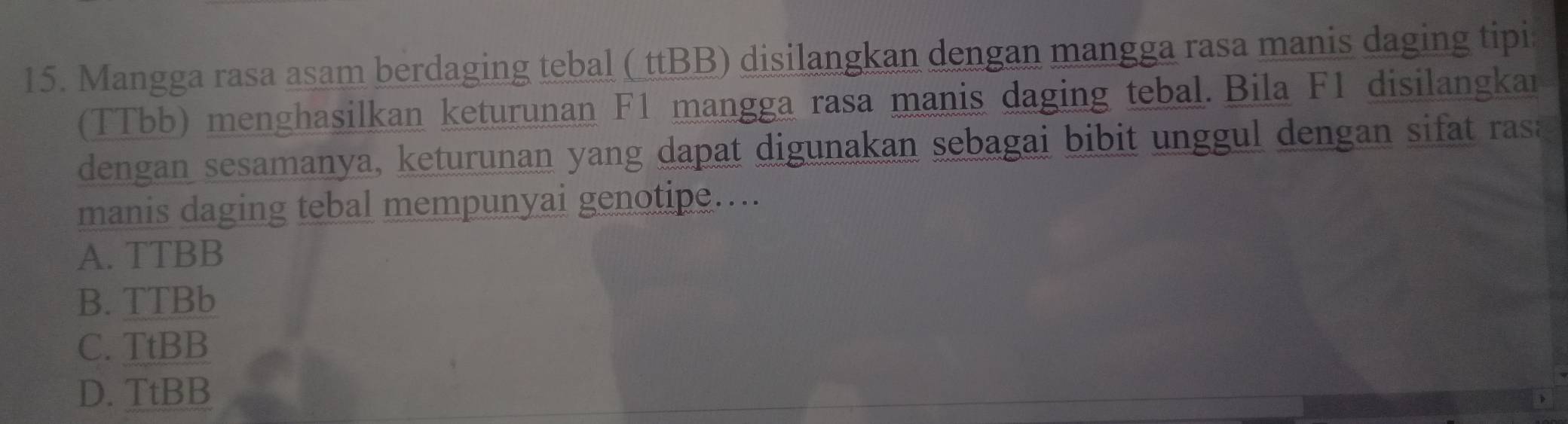 Mangga rasa asam berdaging tebal ( ttBB) disilangkan dengan mangga rasa manis daging tipi
(TTbb) menghasilkan keturunan F1 mangga rasa manis daging tebal. Bila F1 disilangkar
dengan sesamanya, keturunan yang dapat digunakan sebagai bibit unggul dengan sifat rasa
manis daging tebal mempunyai genotipe….
A. TTBB
B. TTBb
C. TtBB
D. TtBB