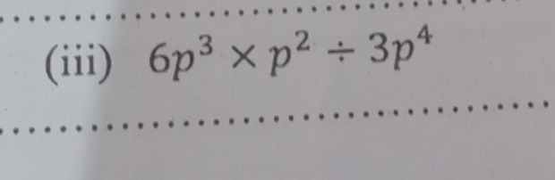 (iii) 6p^3* p^2/ 3p^4