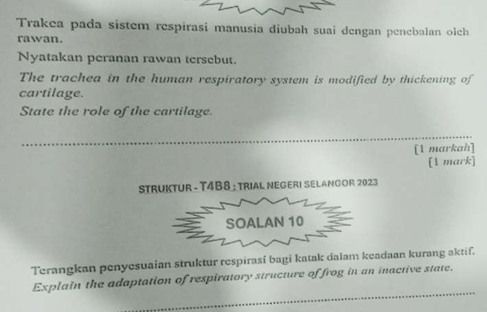 Trakea pada sistem respirasi manusia diubah suai dengan penebalan olch 
rawan. 
Nyatakan peranan rawan tersebut. 
The trachea in the human respiratory system is modified by thickening of 
cartilage. 
State the role of the cartilage. 
_ 
_ 
[1 markah] 
[1 mark] 
STRUKTUR - T4B8 : TRIAL NEGERI SELANGOR 2023 
SOALAN 10 
Terangkan penyesuaian struktur respirasi bagi katak dalam keadaan kurang aktif. 
_ 
Explain the adaptation of respiratory structure of frog in an inactive state. 
_