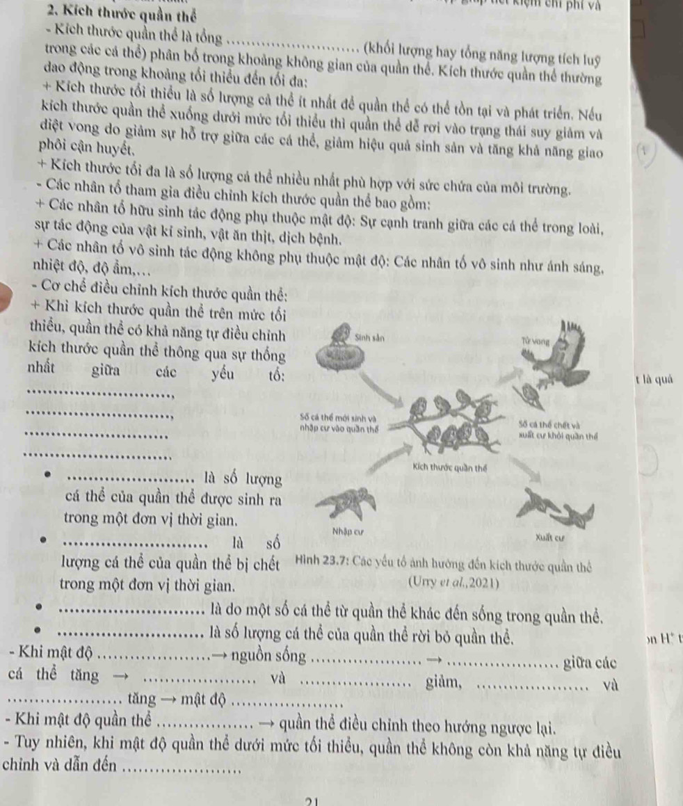 Kích thước quần thể
ciệm chí phí và
- Kích thước quần thể là tổng _ (khối lượng hay tổng năng lượng tích luỹ
trong các cá thể) phân bố trong khoảng không gian của quần thể. Kích thước quần thể thường
dao động trong khoảng tối thiểu đến tối đa:
+ Kích thước tổi thiểu là số lượng cả thể ít nhất để quần thể có thể tồn tại và phát triển. Nếu
kích thước quần thể xuống dưới mức tối thiểu thì quần thể dễ rơi vào trạng thái suy giảm và
diệt vong do giảm sự hỗ trợ giữa các cá thể, giảm hiệu quả sinh sản và tăng khả năng giao
phôi cận huyết,
+ Kích thước tối đa là số lượng cả thể nhiều nhất phù hợp với sức chứa của môi trường.
Các nhân tố tham gia điều chỉnh kích thước quần thể bao gồm:
+ Các nhân tố hữu sinh tác động phụ thuộc mật độ: Sự cạnh tranh giữa các cá thể trong loài,
sự tác động của vật kí sinh, vật ăn thịt, dịch bệnh.
+ Các nhân tố vô sinh tác động không phụ thuộc mật độ: Các nhân tố vô sinh như ánh sáng,
nhiệt độ, độ ẩm,...
- Cơ chế điều chỉnh kích thước quần thể:
+ Khi kích thước quần thể trên mức tố
thiểu, quần thể có khả năng tự điều chỉnh
kích thước quần thể thông qua sự thống
_
nhất giữa các yéu tố:
t là quá
_
_
_
_là số lượng
cá thể của quần thể được sinh ra
trong một đơn vị thời gian. 
_là số
lượng cá thể của quần thể bị chết  Hình 23.7: Các yếu tổ ảnh hướng đến kích thước quần thể
trong một đơn vị thời gian.
(Urry et al.,2021)
_là do một số cá thể từ quần thể khác đến sống trong quần thể.
_là số lượng cá thể của quần thể rời bỏ quần thể. n  t
- Khi mật độ_ .→ nguồn sống_
→_ giữa các
cá thể tǎng → _ và _giảm, _và
_.…................ tăng → mật độ_
- Khi mật độ quần thể_ → quần thể điều chỉnh theo hướng ngược lại.
- Tuy nhiên, khi mật độ quần thể dưới mức tối thiểu, quần thể không còn khả năng tự điều
chỉnh và dẫn đến_
21