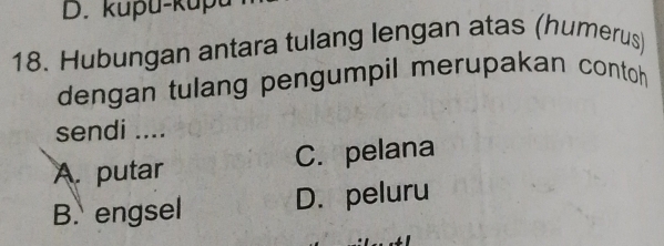 kupu-kupu
18. Hubungan antara tulang lengan atas (humerus)
dengan tulang pengumpil merupakan contoh
sendi ....
A. putar C. pelana
B. engsel D. peluru