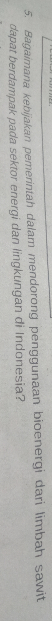 Bagaimana kebijakan pemerintah dalam mendorong penggunaan bioenergi dari limbah sawit 
dapat berdampak pada sektor energi dan lingkungan di Indonesia?