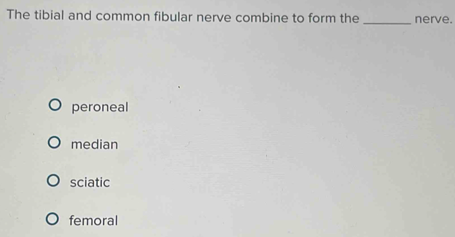 The tibial and common fibular nerve combine to form the _nerve.
peroneal
median
sciatic
femoral