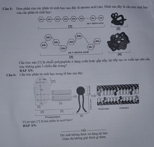 Đơn phân của các phân tử sinh học sau đây là amono acid (aa). Hình sau đây là cấu trúc sinh học
của các phân tử sinh học:
[2]
Cầu trúc nào [?] là chuỗi polypeptide ở dạng xoắn hoặc gắp nếp, lại tiếp tục co xoắn tạo nên cầu
trúc không gian 3 chiều đặc trưng?
đÁP ÁN:
Câu 6: Cầu trúc phân tử sinh học trong tế bào sau đây:
Vị trí nào [?] là hai phân tử acid béo?
đÁP ÁN:
_Hết
_
Thí sinh không được sử dụng tài liệu
Giám thị không giải thích gi thêm