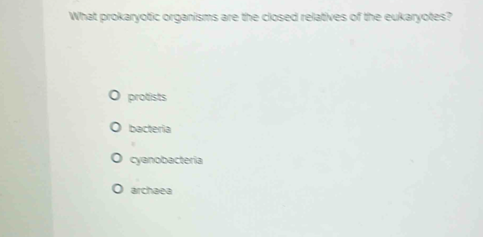 What prokaryotic organisms are the closed relatives of the eukaryotes?
protists
bacteria
cyanobacteria
archaea