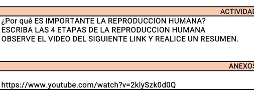 ACTIVIDAI 
¿Por qué ES IMPORTANTE LA REPRODUCCION HUMANA? 
ESCRIBA LAS 4 ETAPAS DE LA REPRODUCCION HUMANA 
OBSERVE EL VIDEO DEL SIGUIENTE LINK Y REALICE UN RESUMEN. 
ANEXO: 
https://www.youtube.com/watch? v=2klySzk0d0Q