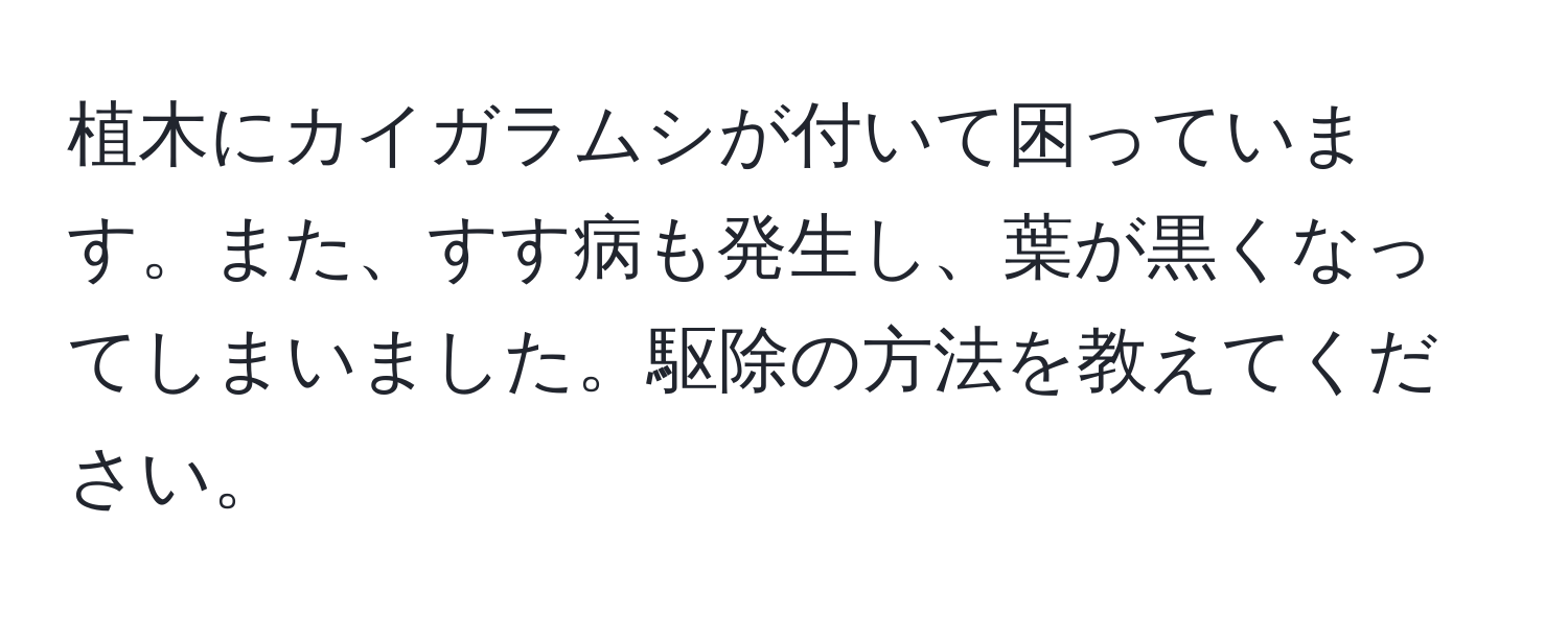 植木にカイガラムシが付いて困っています。また、すす病も発生し、葉が黒くなってしまいました。駆除の方法を教えてください。