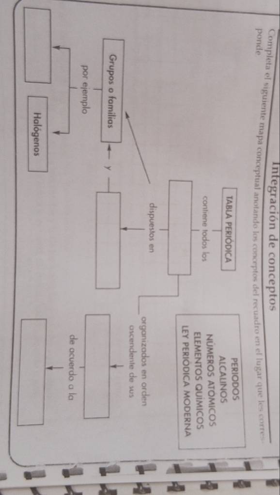 Integración de conceptos 
ponde Completa el siguiente mapa conceptual anotando los conceptos del recuadro en el lugar que les corres 
TABLA PERIÓDICA PERIODOS 
ALCALINOS 
contiene todos los NÚMEROS ATOMICOS 
ELEMENTOS QUÍMIcOs 
LEY PERIODICA MODERNA 
dispuestos en 
organizados en orden 
ascendente de sus 
Grupos o familias y 
por ejemplo 
de acuerdo a la 
Halógenos