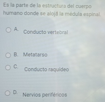 Es la parte de la estructura del cuerpo
humano donde se alojá la médula espinal.
A. Conducto vertebral
B. Metatarso
C. Conducto raquídeo
D. Nervios periféricos