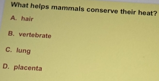 What helps mammals conserve their heat?
A. hair
B. vertebrate
C. lung
D. placenta