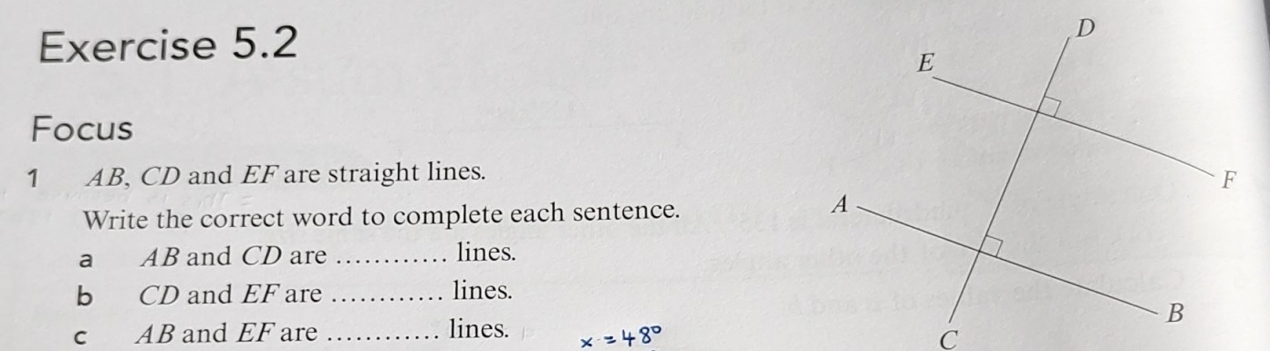 Focus 
1 AB, CD and EF are straight lines. 
Write the correct word to complete each sentence. 
a AB and CD are _lines. 
b CD and EF are _lines. 
c AB and EF are _lines.