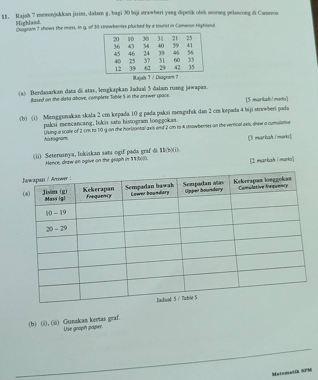 Rajah 7 menunjukkan jisim, dalam g, bagi 30 biji strawberi yang dipetik oleh seorang pelancong di Cameron 
Highland. 
Diagram 7 shows the mass, in g, of 30 strawberries plucked by a tourist in Cameron Highland. 
Rajah 7 / Diagram 7 
(a) Berdasarkan data di atas, lengkapkan Jadual 5 dalam ruang jawapan. 
Based on the data above, complete Table 5 in the answer space. 
[5 markah/ marks] 
(b) (i) Menggunakan skala 2 cm kepada 10 g pada paksi mengufuk dan 2 cm kepada 4 biji strawberi pada 
paksi mencancang, lukis satu histogram longgokan. 
Using a scale of 2 cm to 10 g on the horizontal axis and 2 cm to 4 strawberries on the vertical axis, draw a cumulative 
histogram. 
[3 markah / marks] 
(ii) Seterusnya, lukiskan satu ogif pada graf di 11(b)(i). 
Hence, draw an ogive on the graph in 11(b)(i). 
[2 markah / marks] 
(b) (i), (ii) Gunakan kertas graf. 
Use graph paper. 
_ 
_ 
_ 
Matematik SPM