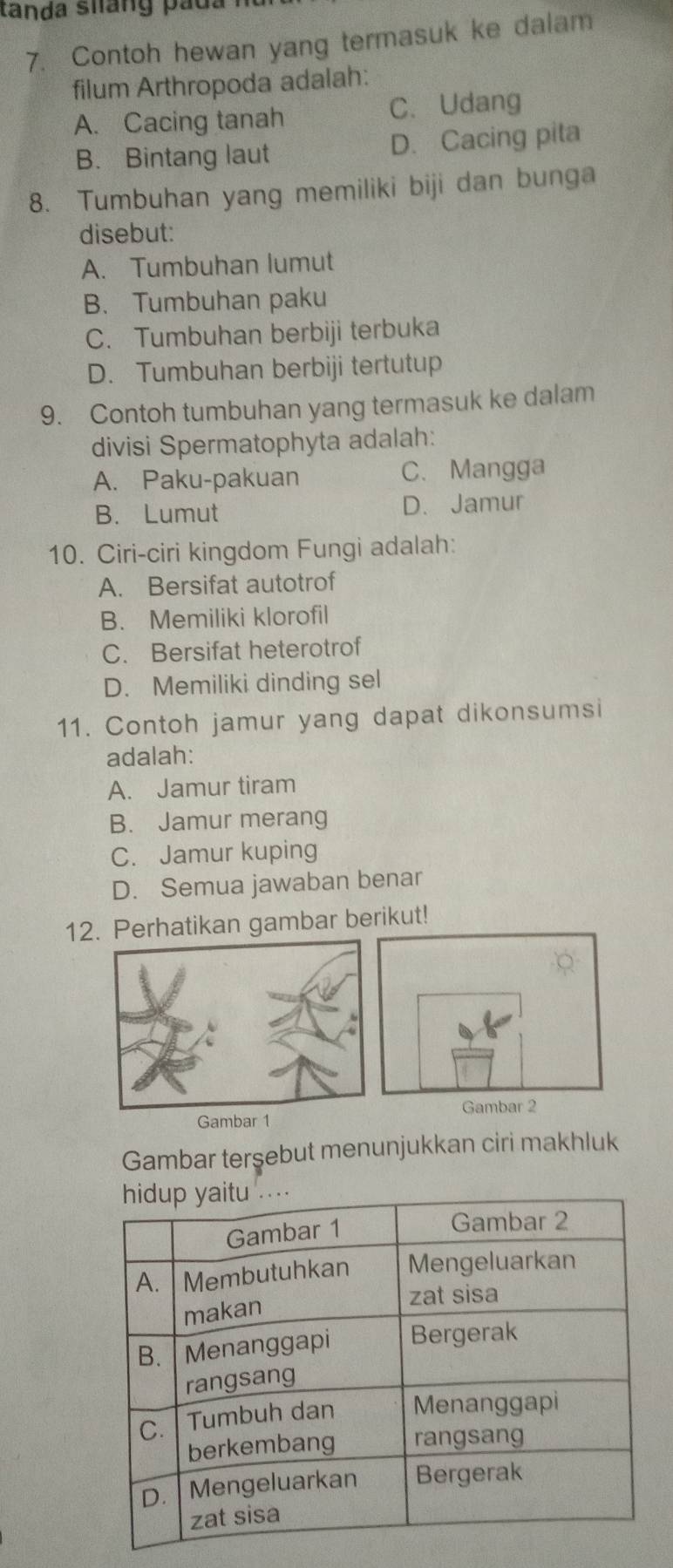 tanda siang p a d a i
7. Contoh hewan yang termasuk ke dalam
filum Arthropoda adalah:
A. Cacing tanah C. Udang
B. Bintang laut D. Cacing pita
8. Tumbuhan yang memiliki biji dan bunga
disebut:
A. Tumbuhan lumut
B. Tumbuhan paku
C. Tumbuhan berbiji terbuka
D. Tumbuhan berbiji tertutup
9. Contoh tumbuhan yang termasuk ke dalam
divisi Spermatophyta adalah:
A. Paku-pakuan C. Mangga
B. Lumut D. Jamur
10. Ciri-ciri kingdom Fungi adalah:
A. Bersifat autotrof
B. Memiliki klorofil
C. Bersifat heterotrof
D. Memiliki dinding sel
11. Contoh jamur yang dapat dikonsumsi
adalah:
A. Jamur tiram
B. Jamur merang
C. Jamur kuping
D. Semua jawaban benar
12. Perhatikan gambar berikut!
Gambar 1
Gambar terşebut menunjukkan ciri makhluk
hidup yaitu ....
Gambar 1
Gambar 2
A. I Membutuhkan Mengeluarkan
makan
zat sisa
B. Menanggapi Bergerak
rangsang
C. Tumbuh dan Menanggapi
berkembang rangsang
D. Mengeluarkan Bergerak
zat sisa