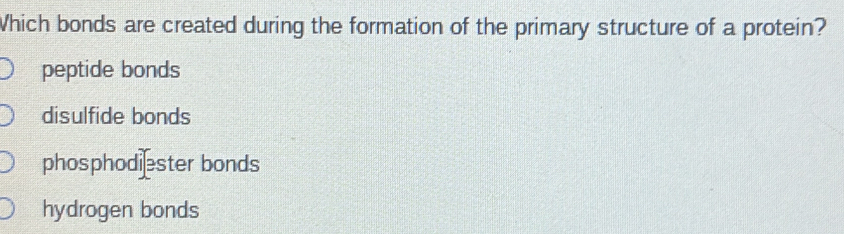 Which bonds are created during the formation of the primary structure of a protein?
peptide bonds
disulfide bonds
phosphodiæster bonds
hydrogen bonds