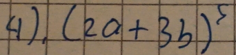 (1) (2a+3b)^5