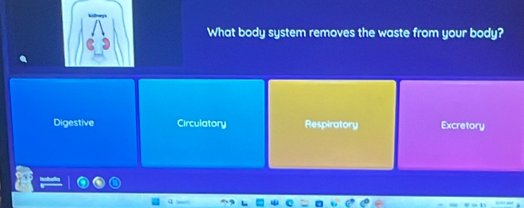 What body system removes the waste from your body?
Digestive Circulatory Respiratory Excretory