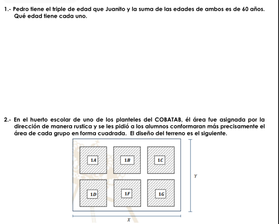 1.- Pedro tiene el triple de edad que Juanito y la suma de las edades de ambos es de 60 años. 
Qué edad tiene cada uno. 
2.- En el huerto escolar de uno de los planteles del COBATAB, él área fue asignada por la 
dirección de manera rustica y se les pidió a los alumnos conformaran más precisamente el 
área de cada grupo en forma cuadrada. El diseño del terreno es el siguiente. 
x