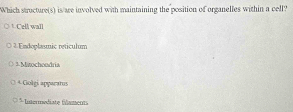 Which structure(s) is are involved with maintaining the position of organelles within a cell?
1 Cell wall
2 Endoplasmic reticulum
3. Mitochondria
4 Golgi apparatus
* Intermediate filaments
