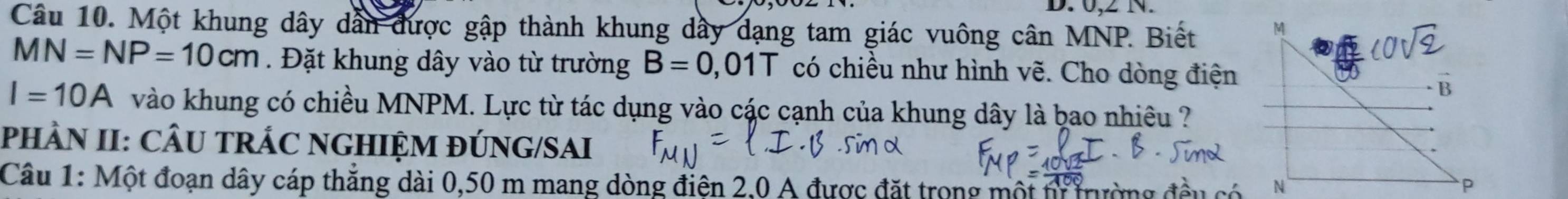 0,2 N. 
Câu 10. Một khung dây dân được gập thành khung dây dạng tam giác vuông cân MNP. Biết M
MN=NP=10cm. Đặt khung dây vào từ trường B=0,01T có chiều như hình vẽ. Cho dòng điện 
B
I=10A vào khung có chiều MNPM. Lực từ tác dụng vào các cạnh của khung dây là bao nhiêu ? 
pHÀN II: CÂU TRÁC NGHIỆM ĐÚNG/SAI 
Câu 1: Một đoạn dây cáp thăng dài 0,50 m mang dòng điện 2,0 A được đặt trong một n tường 
N
P