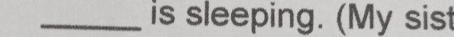 is sleeping. (My sist