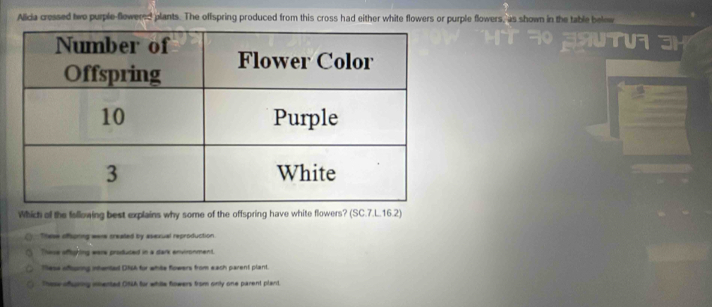 Alicia cressed two purple-flowered plants. The offspring produced from this cross had either white flowers or purple flowers, as shown in the table below
T
Which of the following best explains why some of the offspring have white flowers? (SC.7.L.16.2)
These oifspting were created by asexual reproduction
These offoghling were produted in a dark environment.
Tese ofouring interte DNA for white flowers from each parent plant.
These ofuning imented ONA for while flowers from only one parent plant.