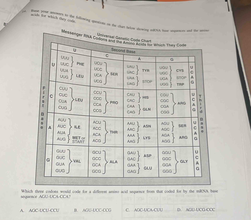 acids for which they code.
24. Base your answers to the following questions on the chart below showing mRNA base sequences and the amine
B
Univers
Messenger RN
Which three codons would code for a different amino acid sequence from that coded for by the mRNA base
sequence AGU-UCA-CCA?
A. AGC-UCU-CCU B. AGU-UCC-CCG C. AGC-UCA-CUU D. AGU-UCG-CCC