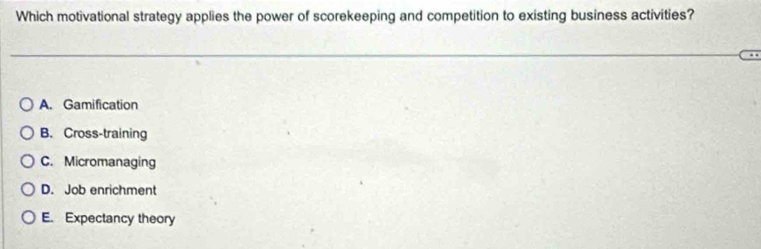 Which motivational strategy applies the power of scorekeeping and competition to existing business activities?
A. Gamification
B. Cross-training
C. Micromanaging
D. Job enrichment
E. Expectancy theory