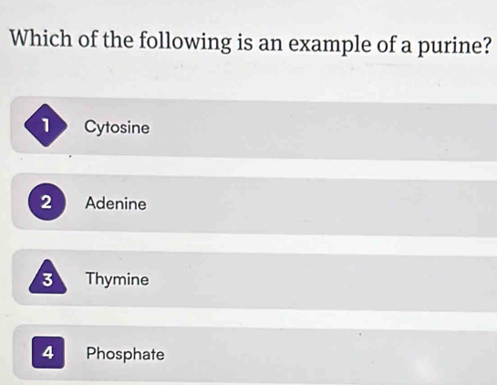 Which of the following is an example of a purine?
Cytosine
2 Adenine
3 Thymine
4 Phosphate