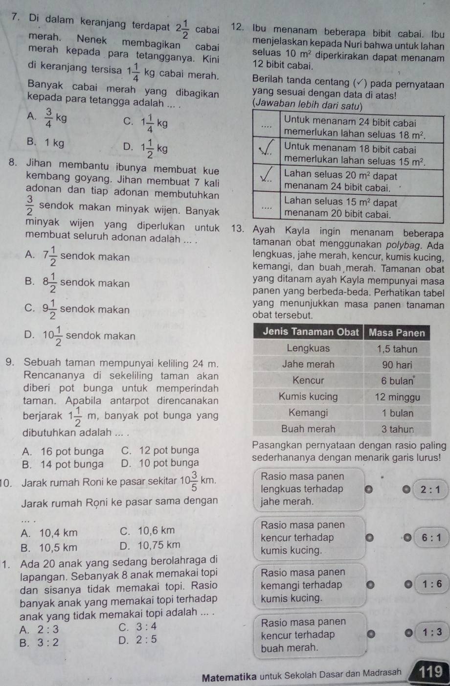 Di dalam keranjang terdapat 2 1/2 cabai 12. Ibu menanam beberapa bibit cabai. Ibu
menjelaskan kepada Nuri bahwa untuk lahan
merah. Nenek membagikan cabai seluas 10m^2 diperkirakan dapat menanam
merah kepada para tetangganya. Kini 12 bibit cabai.
di keranjang tersisa 1 1/4 kg cabai merah. Berilah tanda centang (√) pada pernyataan
Banyak cabai merah yang dibagikan yang sesuai dengan data di atas!
kepada para tetangga adalah ... .
(Jawaban lebih d
A.  3/4 kg
C. 1 1/4 kg
B. 1 kg 1 1/2 kg
D.
8. Jihan membantu ibunya membuat kue
kembang goyang. Jihan membuat 7 kali
adonan dan tiap adonan membutuhkan
 3/2  sendok makan minyak wijen. Banyak
minyak wijen yang diperlukan untuk 13. Ayah Kayla ingin menanam beberapa
membuat seluruh adonan adalah ... . tamanan obat menggunakan polybag. Ada
A. 7 1/2  sendok makan
lengkuas, jahe merah, kencur, kumis kucing,
kemangi, dan buah merah. Tamanan obat
B. 8 1/2  sendok makan
yang ditanam ayah Kayla mempunyai masa
panen yang berbeda-beda. Perhatikan tabel
yang menunjukkan masa panen tanaman
C. 9 1/2  sendok makan obat tersebut.
D. 10 1/2  sendok makan
9. Sebuah taman mempunyai keliling 24 m.
Rencananya di sekeliling taman akan
diberi pot bunga untuk memperindah
taman. Apabila antarpot direncanakan
berjarak 1 1/2 m , banyak pot bunga yang
dibutuhkan adalah ... .
A. 16 pot bunga C. 12 pot bunga
Pasangkan pernyataan dengan rasio paling
B. 14 pot bunga D. 10 pot bunga
sederhananya dengan menarik garis lurus!
Rasio masa panen
10. Jarak rumah Roni ke pasar sekitar 10 3/5 km. lengkuas terhadap
2:1
Jarak rumah Rọni ke pasar sama dengan jahe merah.
A. 10,4 km C. 10,6 km
Rasio masa panen
kencur terhadap 6:1
B. 10,5 km D. 10,75 km kumis kucing.
1. Ada 20 anak yang sedang berolahraga di
lapangan. Sebanyak 8 anak memakai topi Rasio masa panen
dan sisanya tidak memakai topi. Rasio kemangi terhadap 1:6
banyak anak yang memakai topi terhadap kumis kucing.
anak yang tidak memakai topi adalah ... .
A. 2:3 Rasio masa panen
C. 3:4
B. 3:2
D. 2:5 kencur terhadap 1:3
buah merah.
Matematika untuk Sekolah Dasar dan Madrasah 119