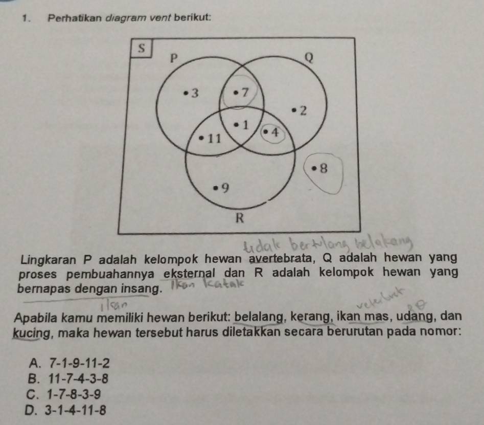 Perhatikan diagram vent berikut:
Lingkaran P adalah kelompok hewan avertebrata, Q adalah hewan yang
proses pembuahannya eksternal dan R adalah kelompok hewan yang
bernapas dengan insang.
Apabila kamu memiliki hewan berikut: belalang, kerang, ikan mas, udang, dan
kucing, maka hewan tersebut harus diletakkan secara berurutan pada nomor:
A. 7 -1 -9 -11 -2
B. 11 -7 -4 -3 -8
C. 1 -7 -8 -3 -9
D. 3 -1 -4 -11 -8