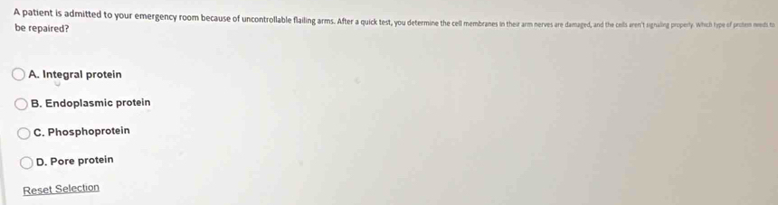 A patient is admitted to your emergency roo because f cntolable flailing ars. e a amaged and the coils arent sanorey, which type of prutesn meents to
be repaired?
A. Integral protein
B. Endoplasmic protein
C. Phosphoprotein
D. Pore protein
Reset Selection