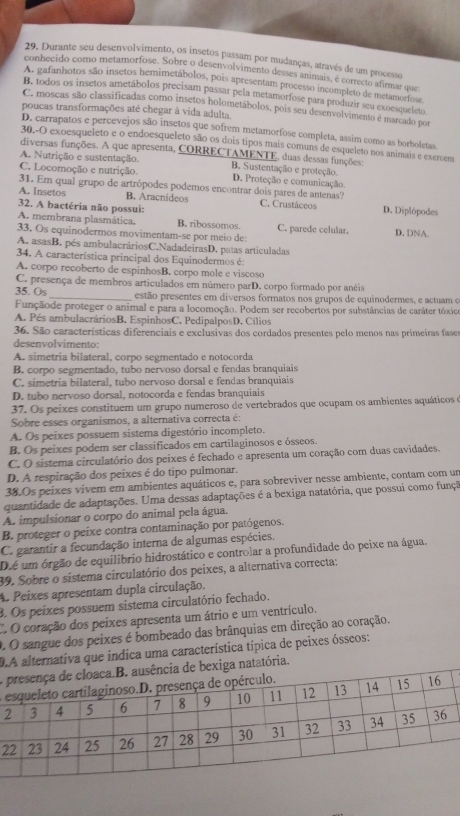 Durante seu desenvolvimento, os insetos passam por mudanças, através de um processo
conhecido como metamorfose. Sobre o desenvolvimento desses animais, é correcto afirmar que
A. gafanhotos são insetos hemimetábolos, pois apresentam processo incompleto de metamorfose
B. todos os insetos ametábolos precisam passar pela metamorfose para produzir seu exoesqueleto
C. moscas são classificadas como insetos holometábolos, pois seu desenvolvimento é marcado por
poucas transformações até chegar à vida adulta.
D. carrapatos e percevejos são insetos que sofrem metamorfose completa, assim como as borboletas
30.-O exoesqueleto e o endoesqueleto são os dois tipos mais comuns de esqueleto nos animais e exercem
diversas funções. A que apresenta, CORRECTAMENTE, duas dessas funções:
C. Locomoção e nutrição. B. Sustentação e proteção
A. Nutrição e sustentação. D. Proteção e comunicação.
31. Em qual grupo de artrópodes podemos encontrar dois pares de antenas?
A. Insetos B. Aracnideos C. Crustáceos D. Diplópodes
32. A bactéria não possui:
A. membrana plasmática. B. ribossomos. C. parede celular. D. DNA.
33. Os equinodermos movimentam-se por meio de:
A. asasB. pés ambulacráriosC.NadadeirasD. patas articuladas
34. A caracteristica principal dos Equinodermos é:
A. corpo recoberto de espinhosB. corpo mole e viscoso
C. presença de membros articulados em número parD. corpo formado por anéis
35. Os _estão presentes em diversos formatos nos grupos de equinodermes, e actuam e
Funçãode proteger o animal e para a locomoção. Podem ser recobertos por substâncias de caráter tóxio
A. Pés ambulacráriosB. EspinhosC. PedipalposD. Cílios
36. São características diferenciais e exclusivas dos cordados presentes pelo menos nas primeiras fases
desenvolvimento:
A. simetria bilateral, corpo segmentado e notocorda
B. corpo segmentado, tubo nervoso dorsal e fendas branquiais
C. simetria bilateral, tubo nervoso dorsal e fendas branquiais
D. tubo nervoso dorsal, notocorda e fendas branquiais
37. Os peixes constituem um grupo numeroso de vertebrados que ocupam os ambientes aquáticos e
Sobre esses organismos, a alternativa correcta é:
A. Os peixes possuem sistema digestório incompleto.
B. Os peixes podem ser classificados em cartilaginosos e ósseos.
C. O sistema circulatório dos peixes é fechado e apresenta um coração com duas cavidades.
D. A respiração dos peixes é do tipo pulmonar.
38.Os peixes vivem em ambientes aquáticos e, para sobreviver nesse ambiente, contam com un
quantidade de adaptações. Uma dessas adaptações é a bexiga natatória, que possui como funçã
A. impulsionar o corpo do animal pela água.
B. proteger o peixe contra contaminação por patógenos.
C. garantir a fecundação interna de algumas espécies.
Dié um órgão de equilibrio hidrostático e controlar a profundidade do peixe na água.
39. Sobre o sistema circulatório dos peixes, a alternativa correcta:
A. Peixes apresentam dupla circulação.
3. Os peixes possuem sistema circulatório fechado.
C. O coração dos peixes apresenta um átrio e um ventrículo.
O. O sangue dos peixes é bombeado das brânquias em direção ao coração.
D.A alternativa que indica uma característica típica de peixes ósseos:
Aga natatória.
o
2