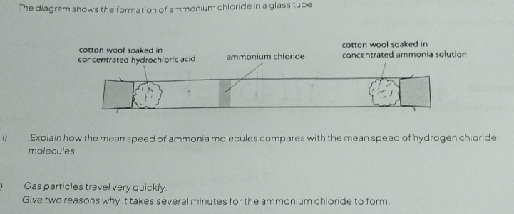 The diagram shows the formation of ammonium chioride in a glass tube. 
cotton wool soaked in 
i Explain how the mean speed of ammonia molecules compares with the mean speed of hydrogen chloride 
molecules. 
Gas particles travel very quickly. 
Give two reasons why it takes several minutes for the ammonium chloride to form.