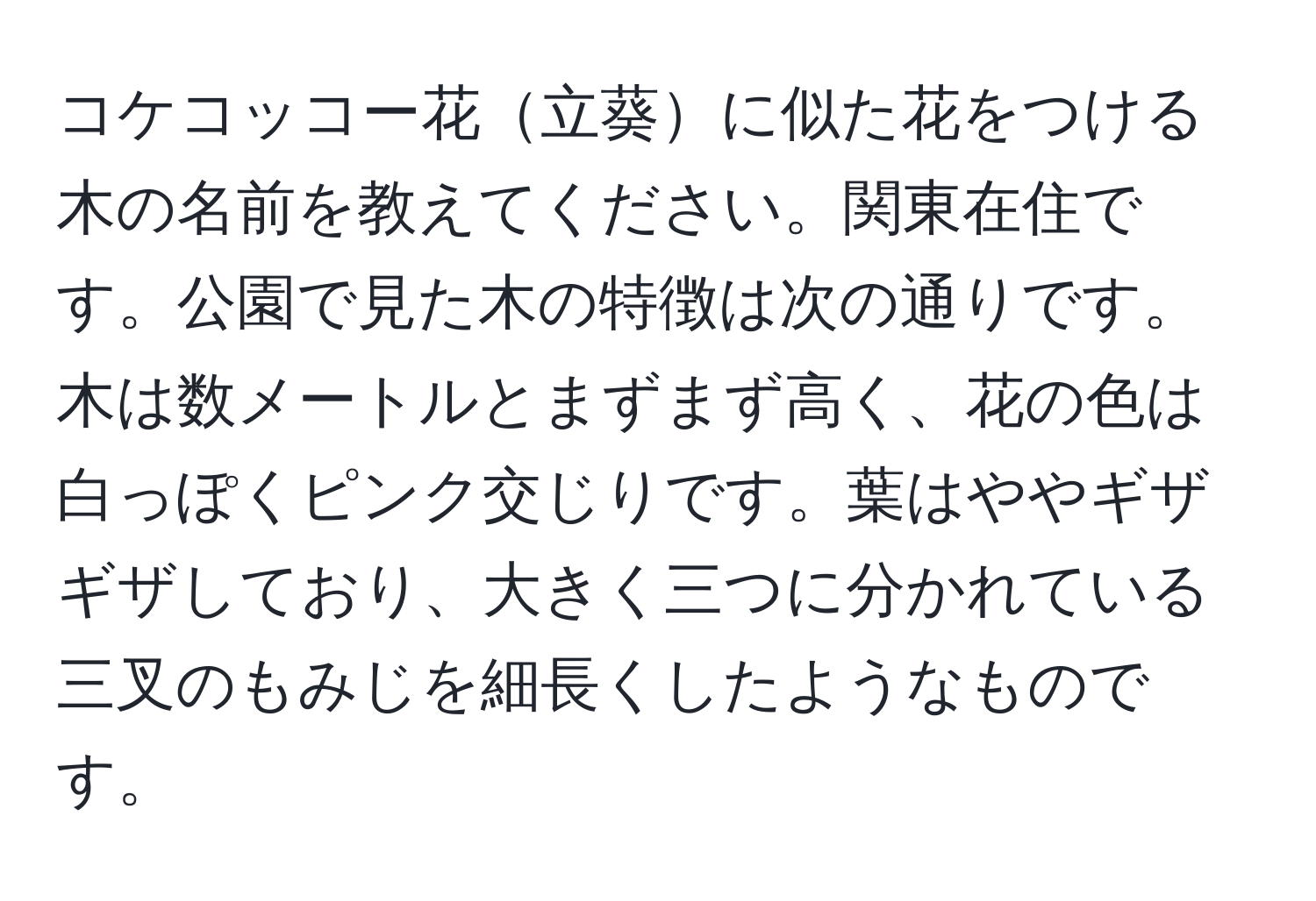 コケコッコー花立葵に似た花をつける木の名前を教えてください。関東在住です。公園で見た木の特徴は次の通りです。木は数メートルとまずまず高く、花の色は白っぽくピンク交じりです。葉はややギザギザしており、大きく三つに分かれている三叉のもみじを細長くしたようなものです。