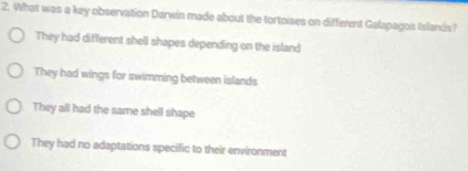 What was a key observation Darwin made about the tortoises on different Galapagos Islands?
They had different shell shapes depending on the island
They had wings for swimming between islands
They all had the same shell shape
They had no adaptations specific to their environment