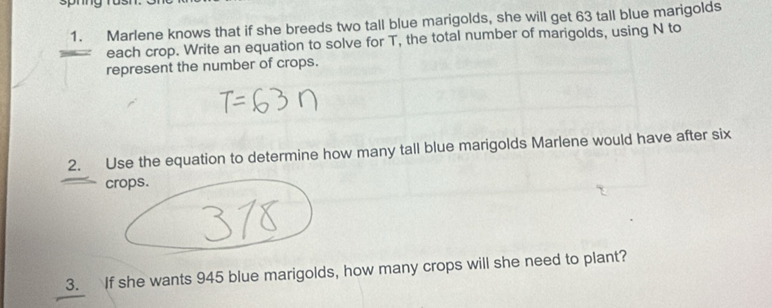 Marlene knows that if she breeds two tall blue marigolds, she will get 63 tall blue marigolds 
each crop. Write an equation to solve for T, the total number of marigolds, using N to 
represent the number of crops. 
2. Use the equation to determine how many tall blue marigolds Marlene would have after six 
crops. 
3. If she wants 945 blue marigolds, how many crops will she need to plant?